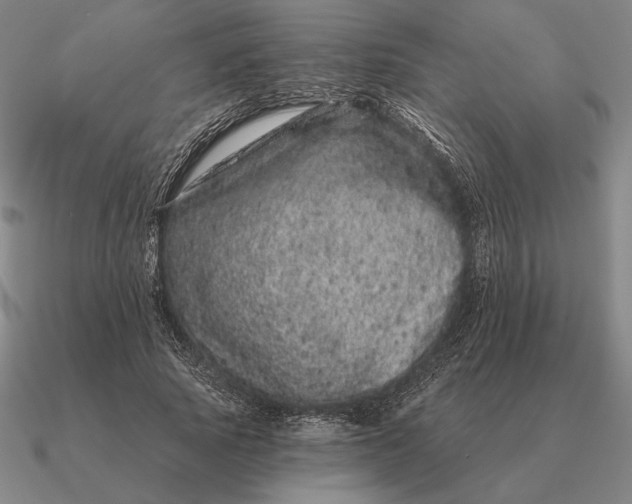 X0000090610737200708071203