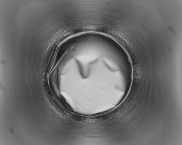 X0000090610738200708071203