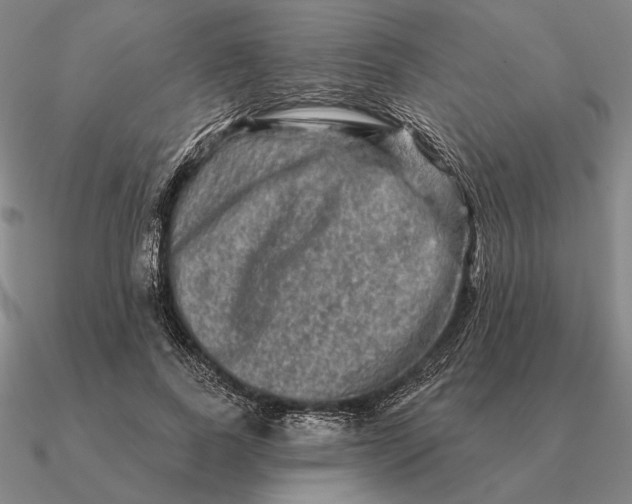 X0000090610739200708071203