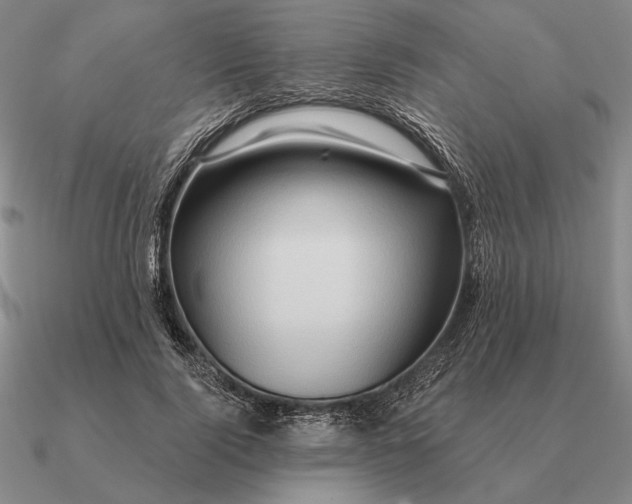 X0000090610740200708071203