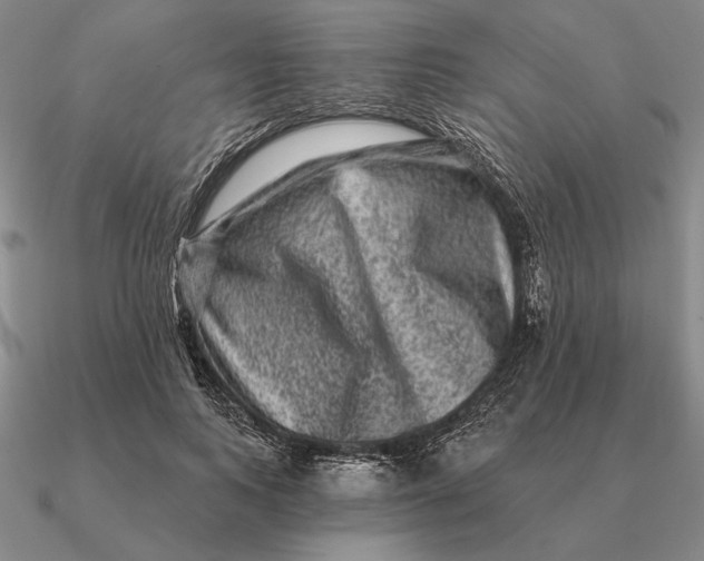 X0000090610743200708071203