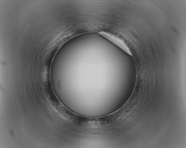 X0000090610744200708071203