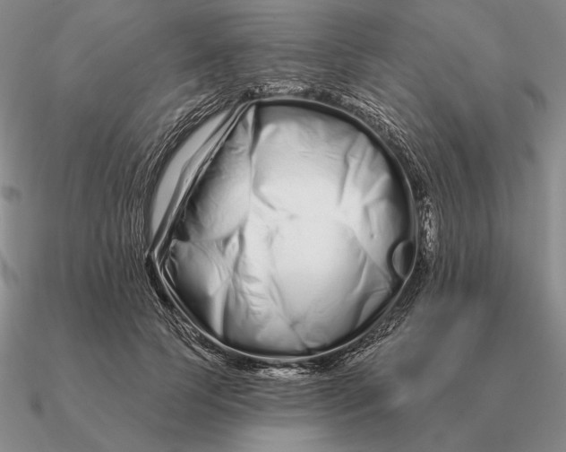 X0000090610745200708071203