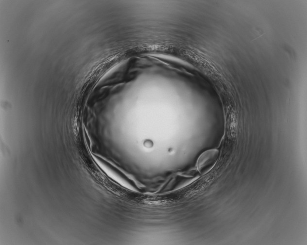 X0000090610746200708071203