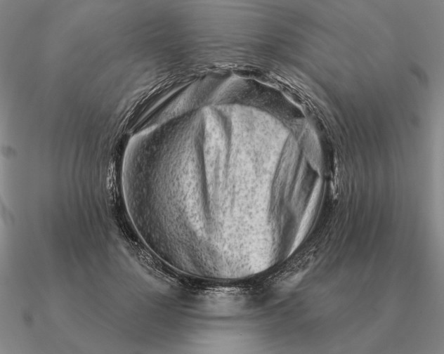 X0000090610748200708071203