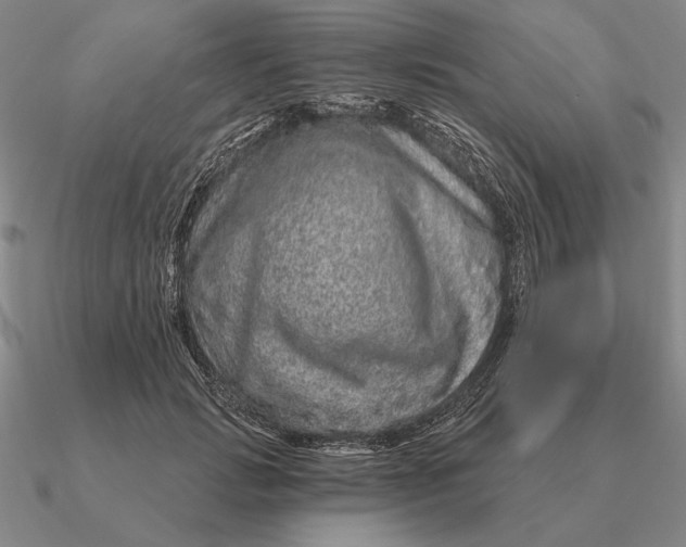 X0000090610749200708071203