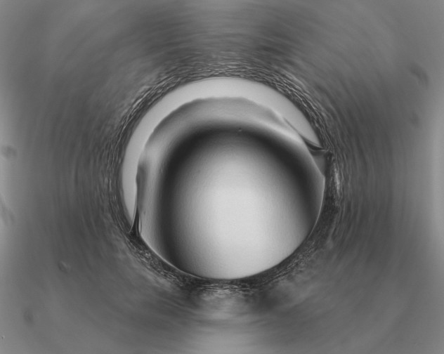 X0000090610750200708071203