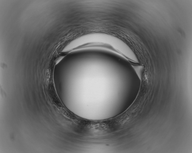 X0000090610752200708071203