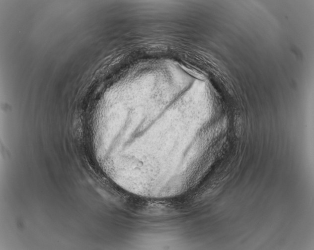 X0000090610753200708071203