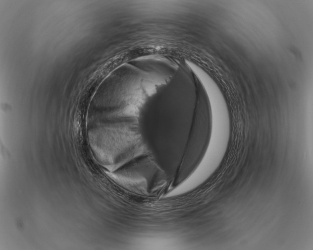 X0000090610754200708071203