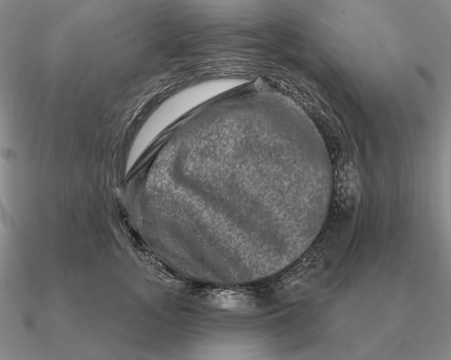 X0000090610755200708071203