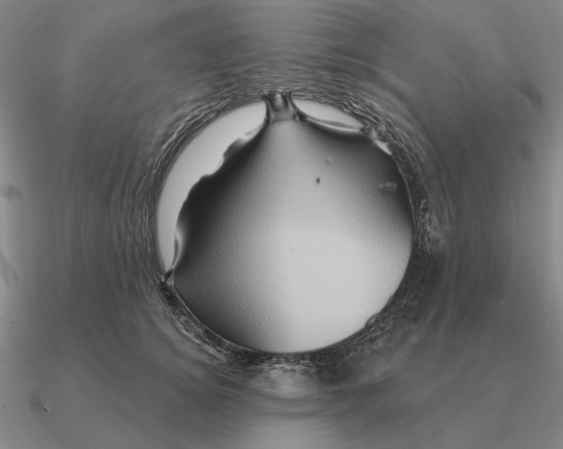 X0000090610756200708071203