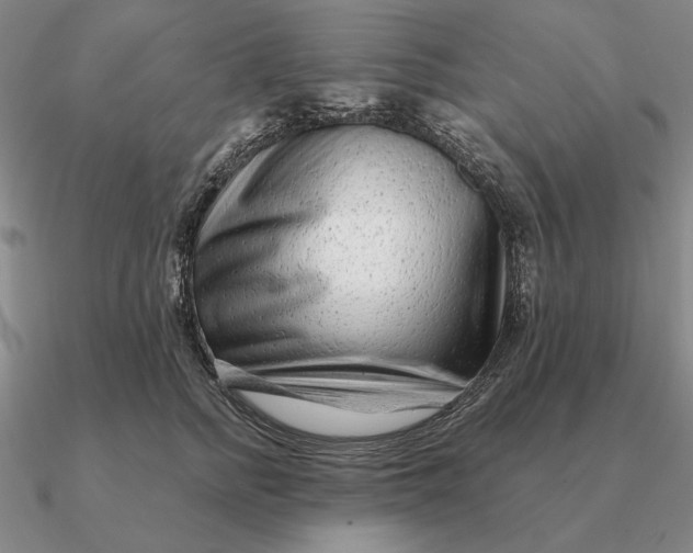 X0000090610758200708071203