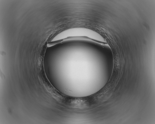 X0000090610759200708071203