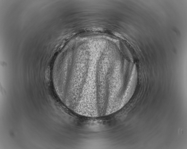 X0000090610760200708071203