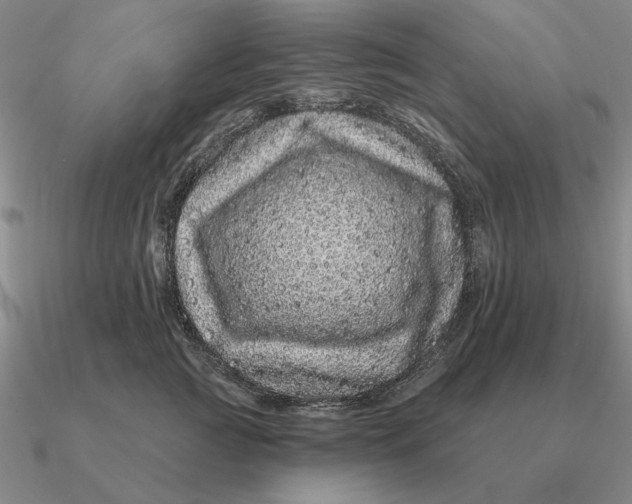 X0000090610761200708071203