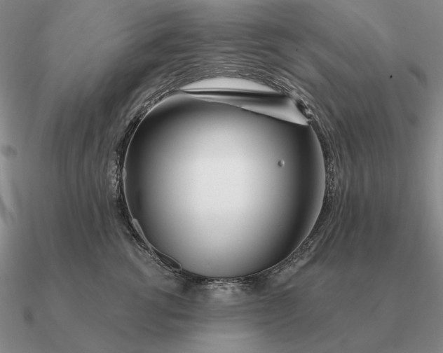 X0000090610762200708071203