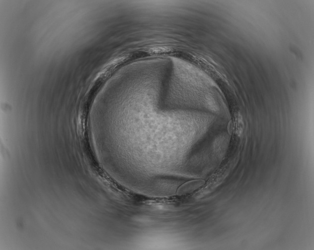 X0000090610763200708071203