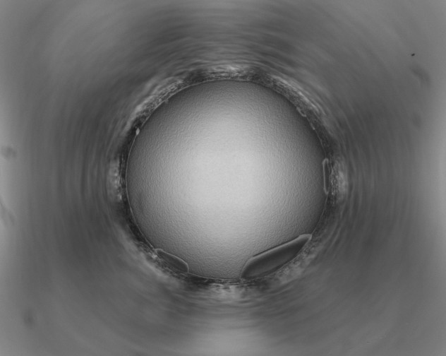 X0000090610764200708071203