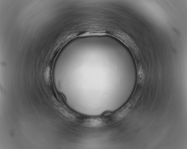 X0000090610765200708071203