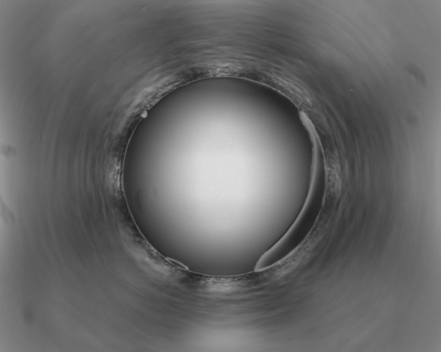 X0000090610766200708071203