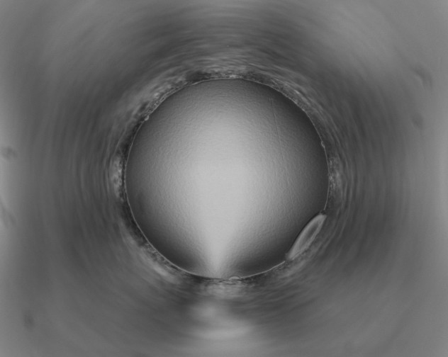 X0000090610767200708071203