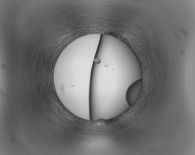 X0000090610768200708071203