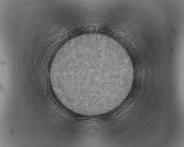 X0000090610769200708071202