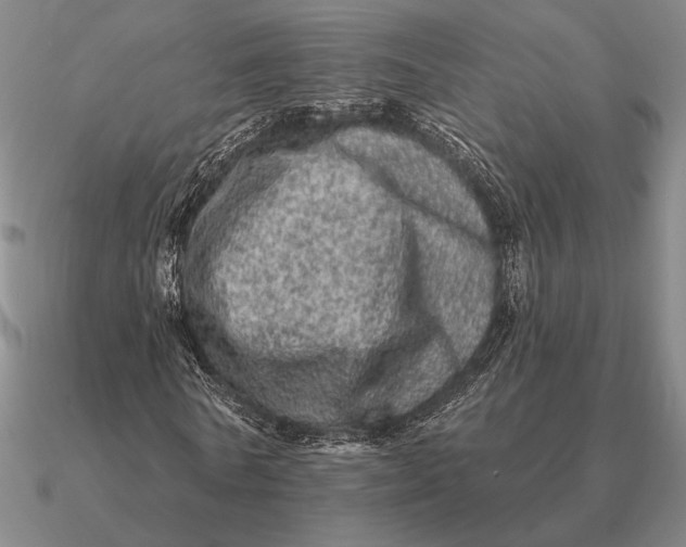 X0000090610770200708071202