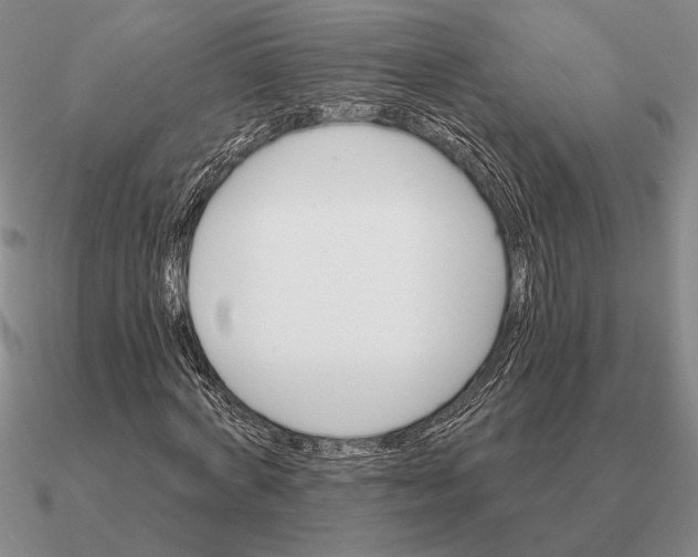 X0000090610772200708071202