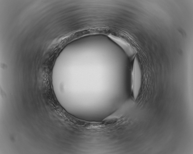 X0000090610773200708071202