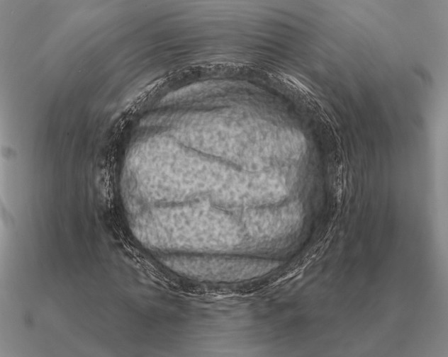 X0000090610774200708071202