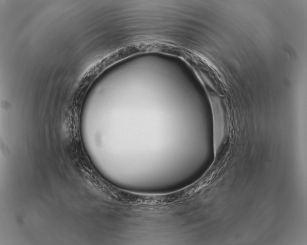 X0000090610775200708071202