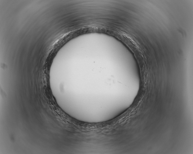 X0000090610776200708071202