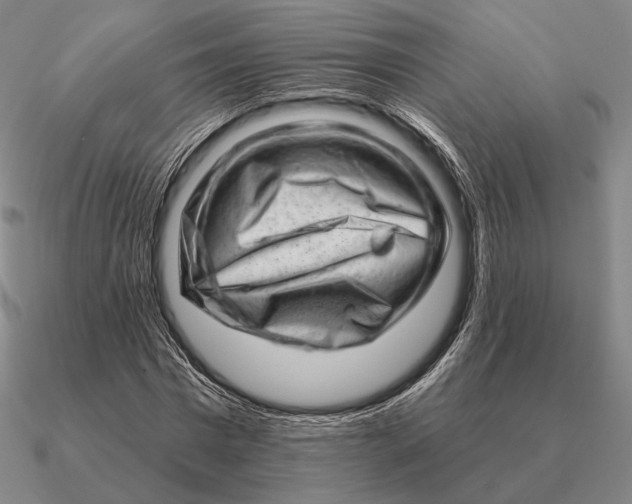 X0000090610777200708071202