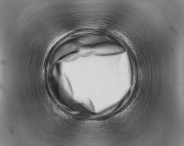 X0000090610779200708071202