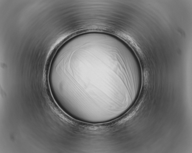 X0000090610780200708071202