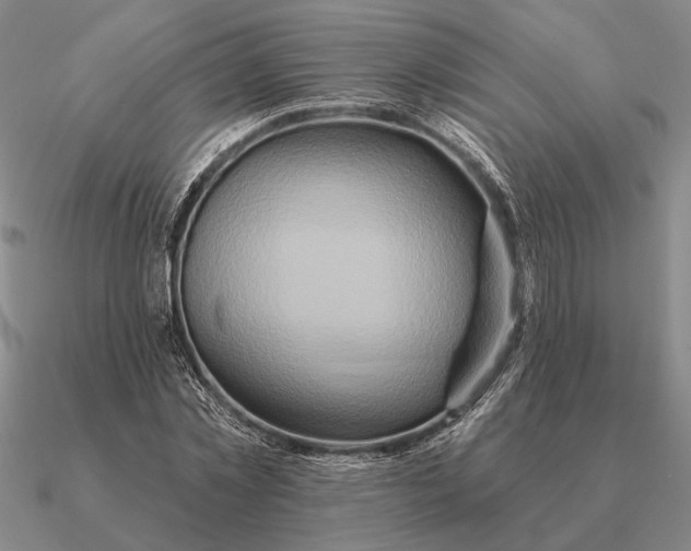 X0000090610781200708071202