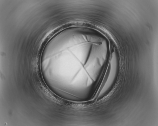 X0000090610783200708071202