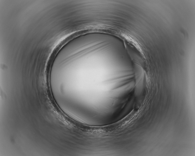 X0000090610784200708071202