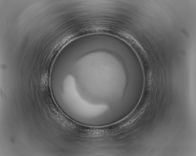 X0000090610785200708071202