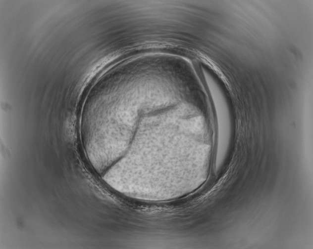 X0000090610786200708071202