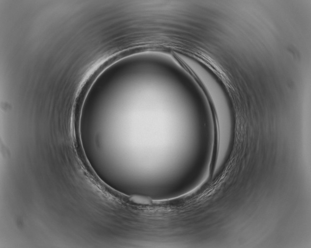 X0000090610788200708071202