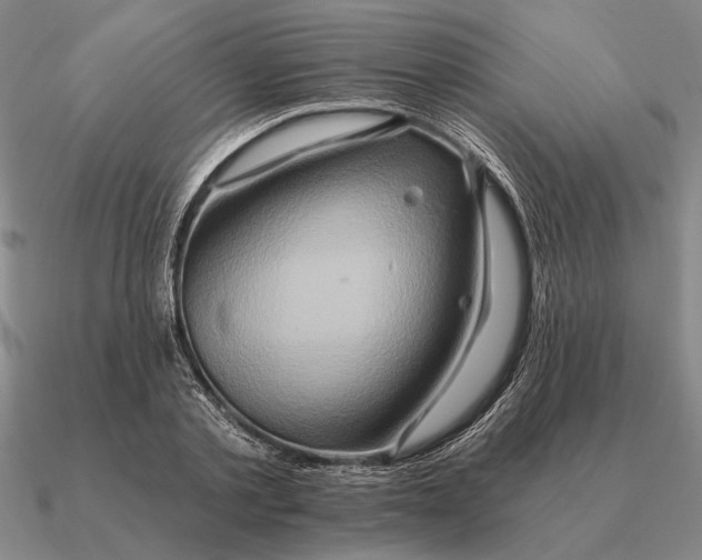 X0000090610789200708071202