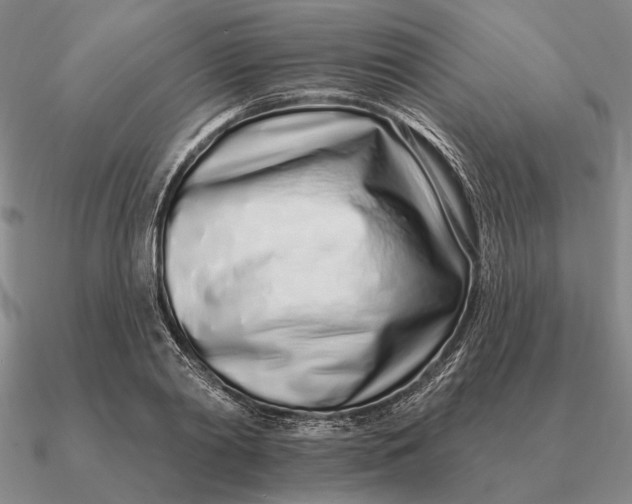 X0000090610790200708071202