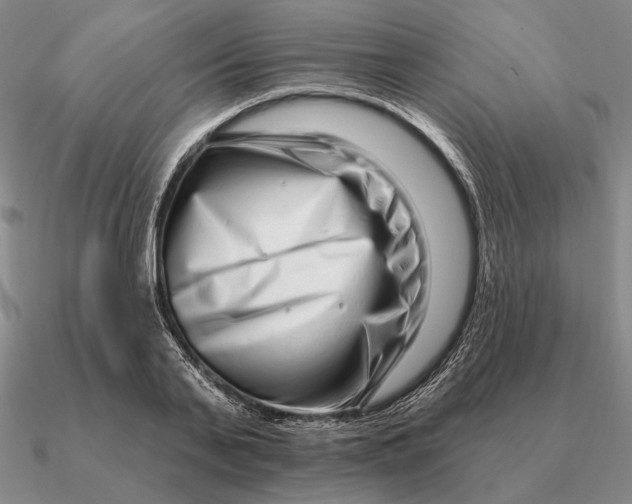 X0000090610791200708071202