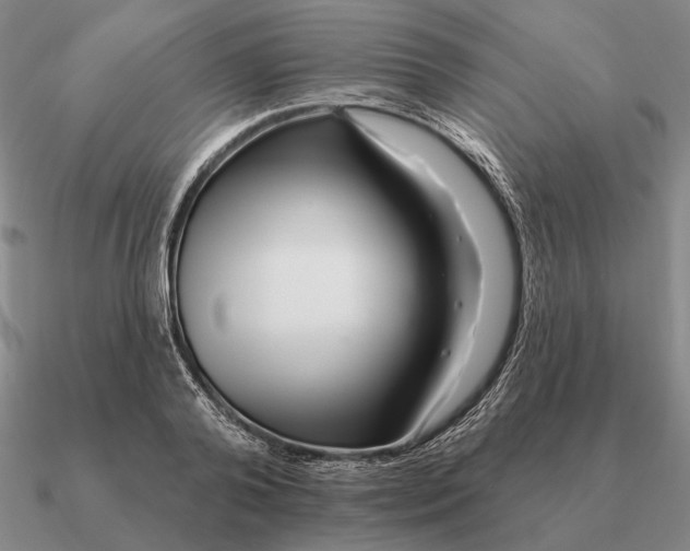 X0000090610792200708071202