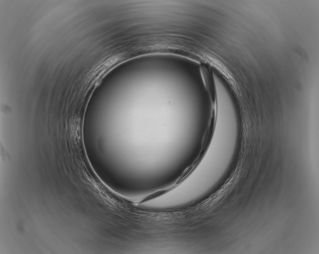 X0000090610793200708071202