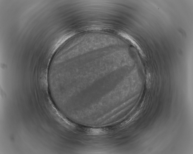 X0000090610794200708071202