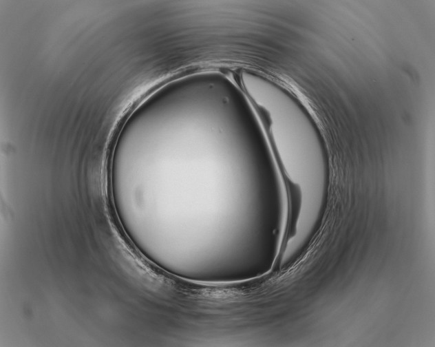 X0000090610795200708071202